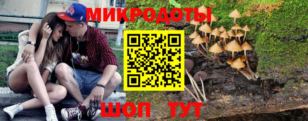 Галлюциногенные грибы мицелий  Вход с VPN  Белгород 